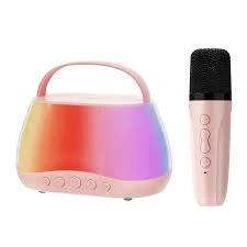 Wireless Karaoke Speaker P13